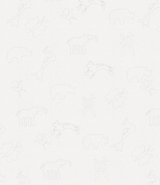 elephant care Chitwan