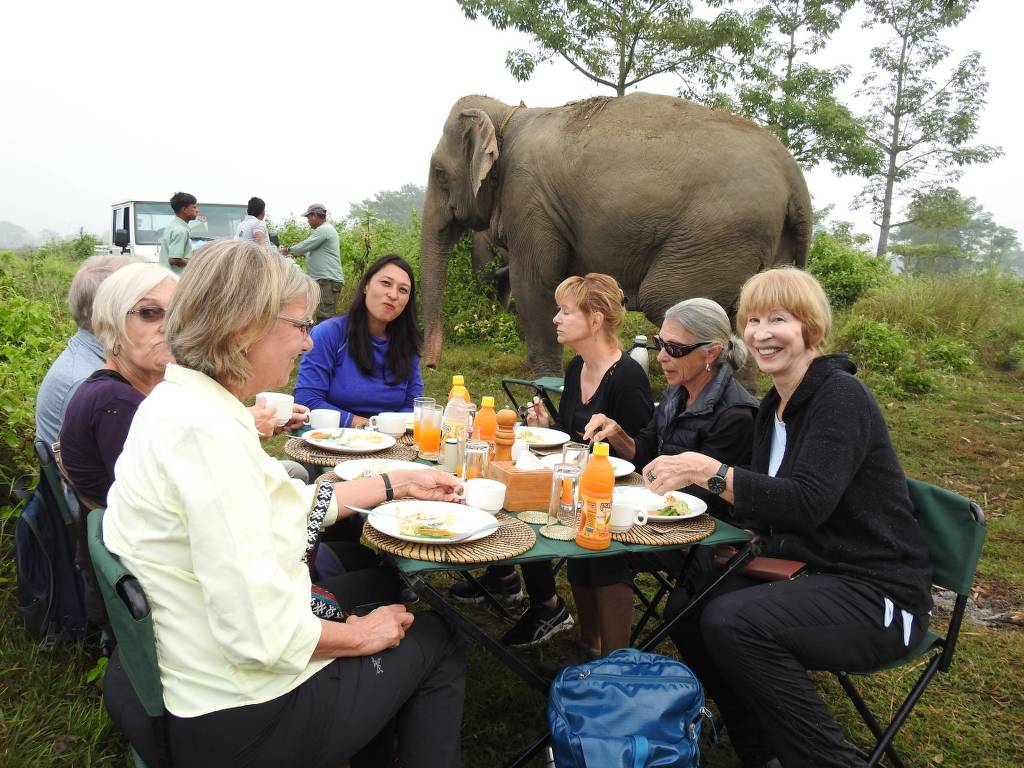 Visitors interacting ethically with elephants