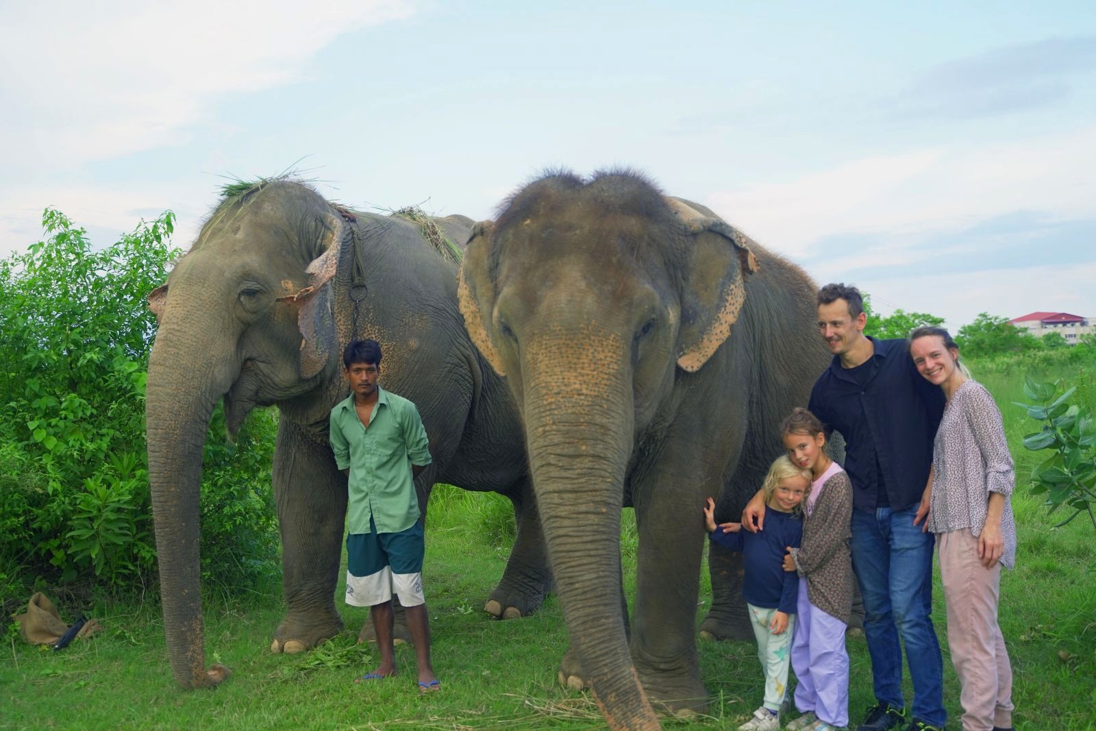 Elephant Care Experience
