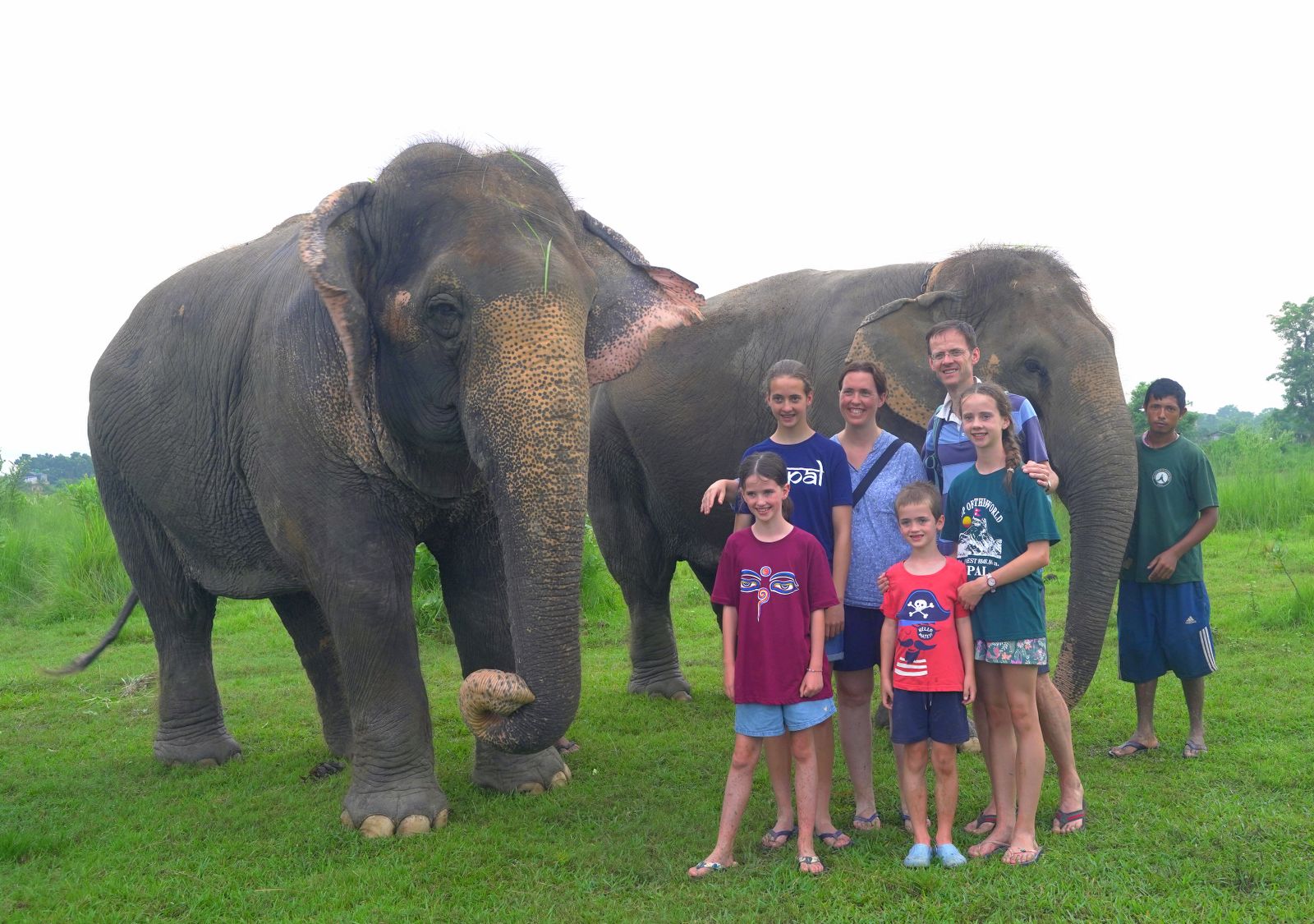 Elephant Care Experience