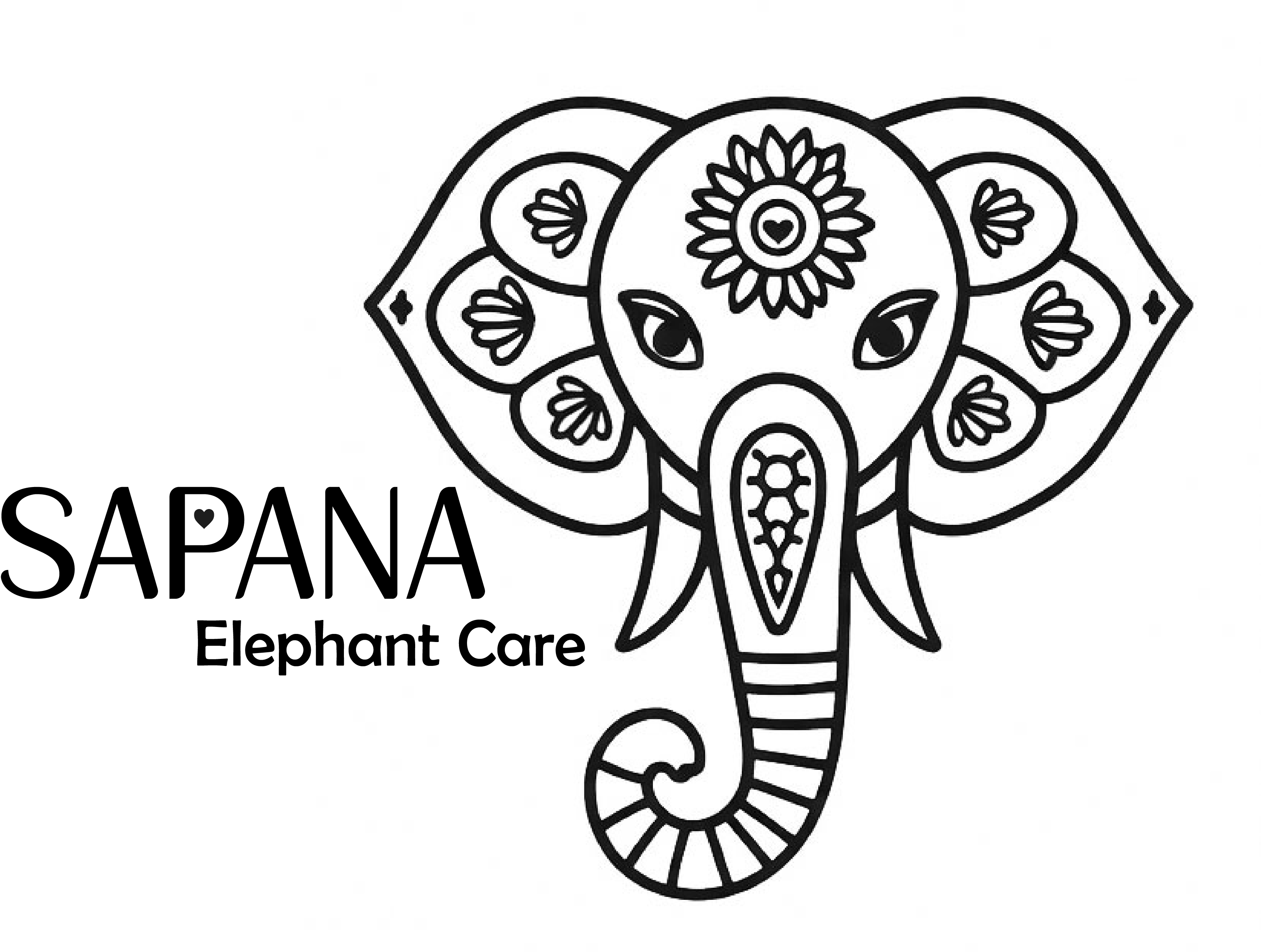 elephant care Chitwan
