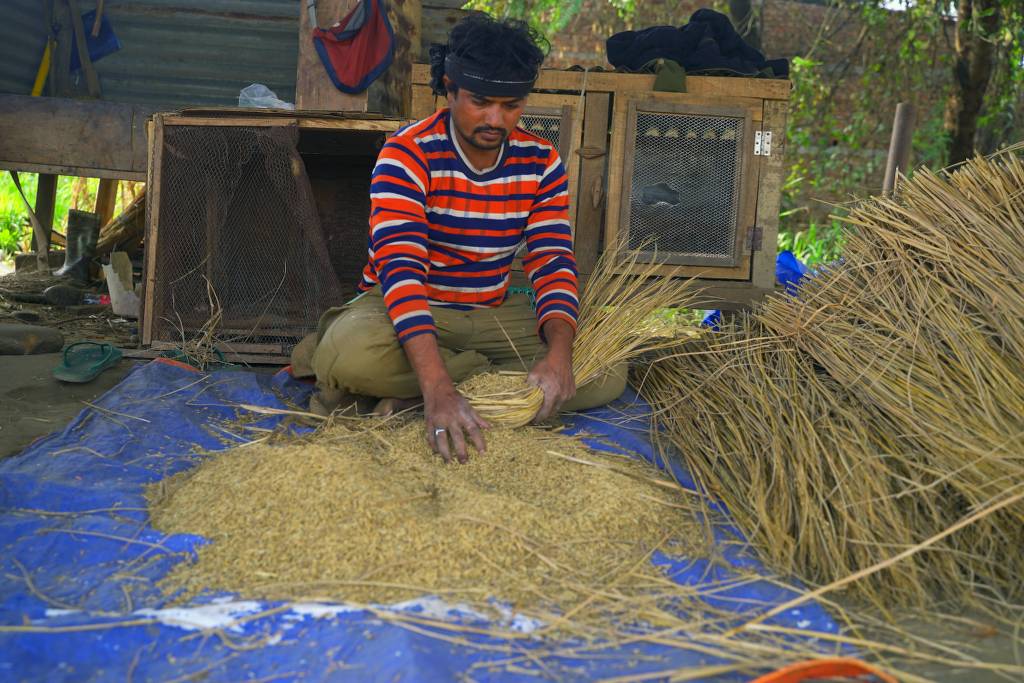 Sapana Village Lodge team caring for elephants