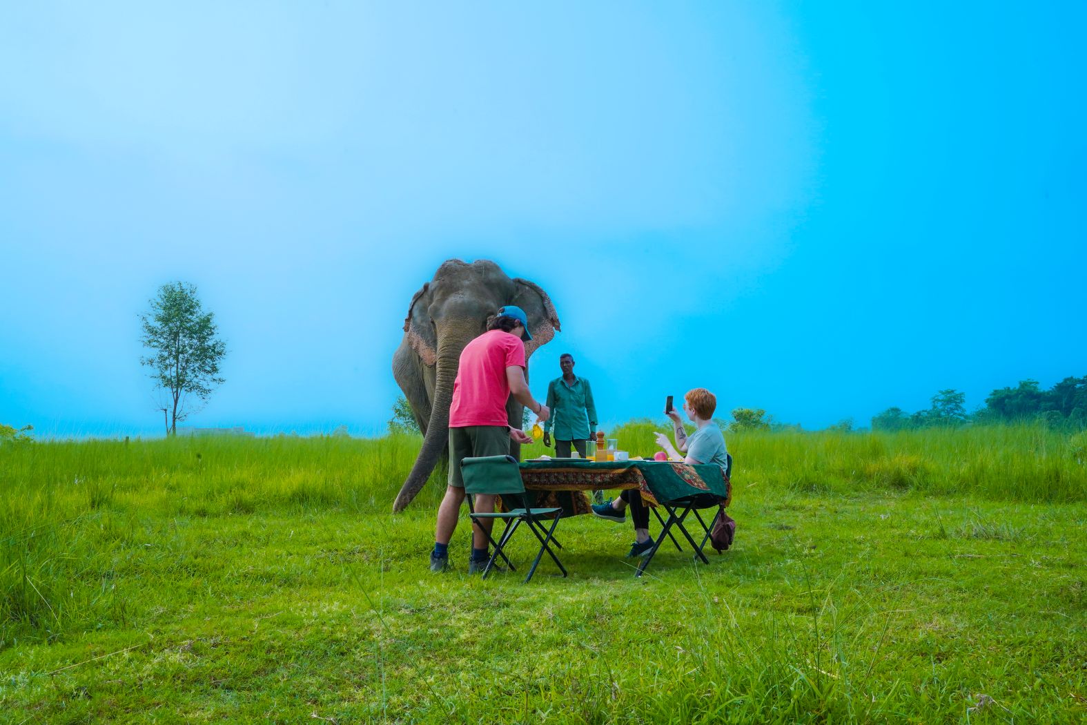 Majestic tusker at dusk